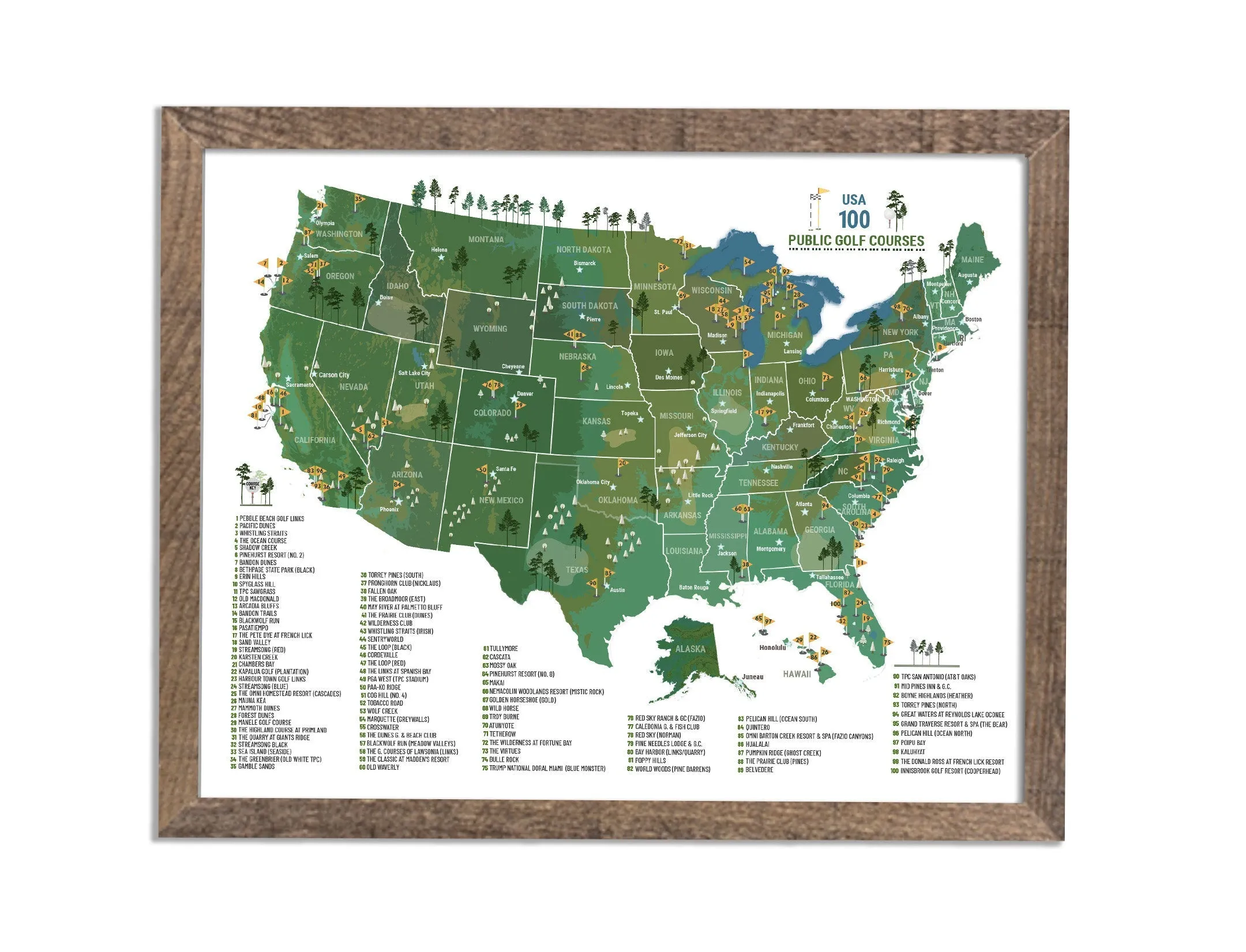 Push Pin Map Board - Golf Courses in USA Framed